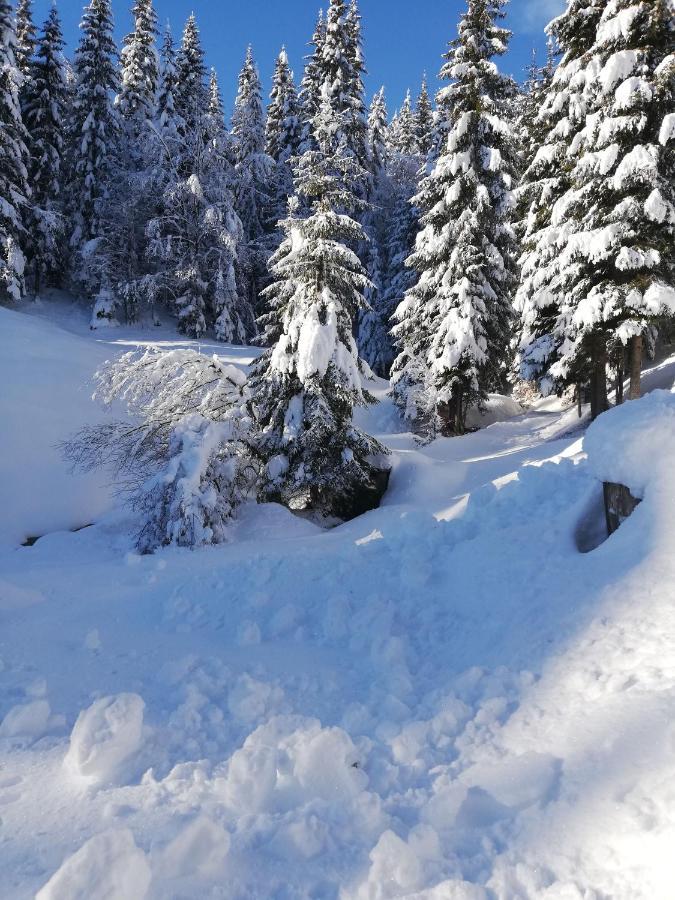 Brunarica Na Goreljeku Бохинь Экстерьер фото