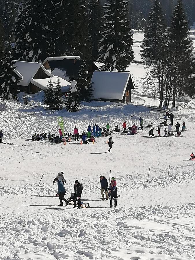 Апартаменты Brunarica Na Goreljeku Бохинь Экстерьер фото